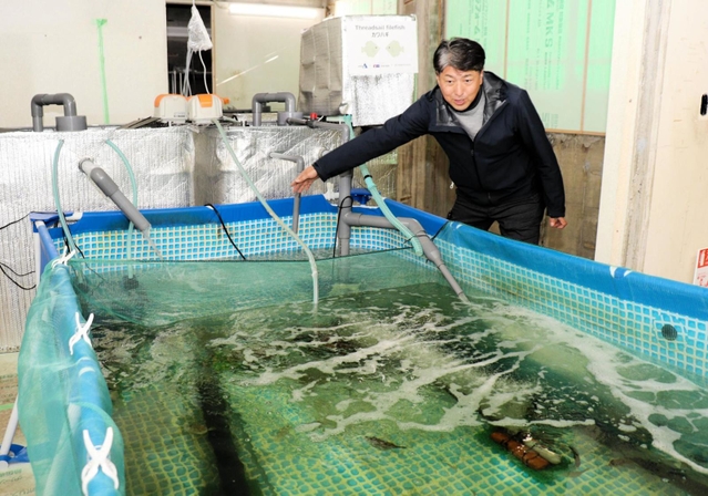 バクテリアを活用した人工海水の循環システムが導入された水槽＝神戸市垂水区本多聞４